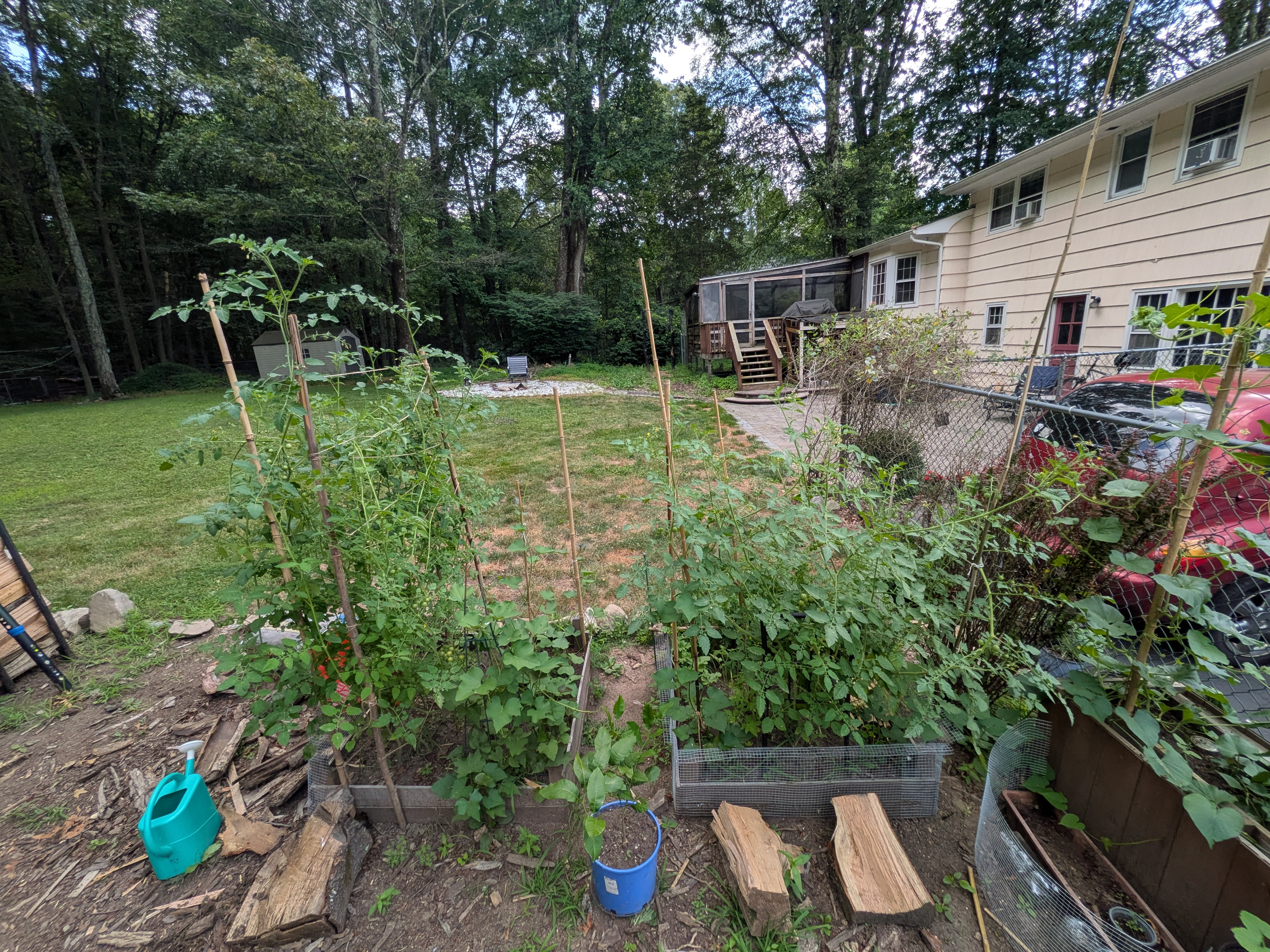 Sustainable Vegetable Garden